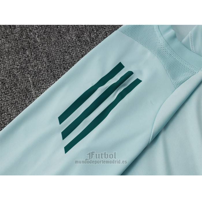 Chandal del Cruzeiro Manga Corta 2024-2025 Verde Pantalon Corto